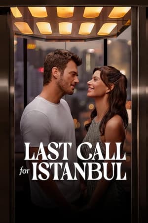 Last Call for Istanbul 2023 Hindi Dual Audio – 480p